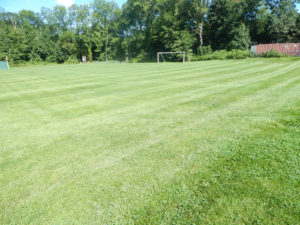 Ridgedale Middle School Turf Management - Lincoln Landscaping