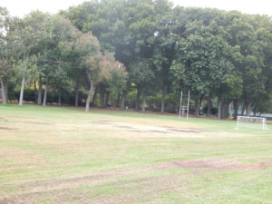 Tenafly Middle School Turf Management