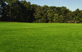 Athletic Field Restoration - Lincoln Landscaping