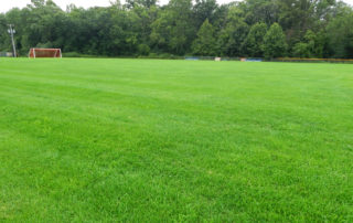 Athletic Field Restoration - Lincoln Landscaping
