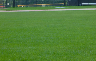 Athletic Field Restoration - Lincoln Landscaping
