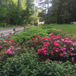 perennial flower bed by lincoln landscaping of franklin lakes