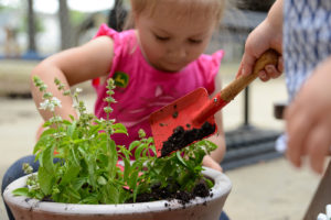 Gardening with Children - Lincoln Landscaping Inc