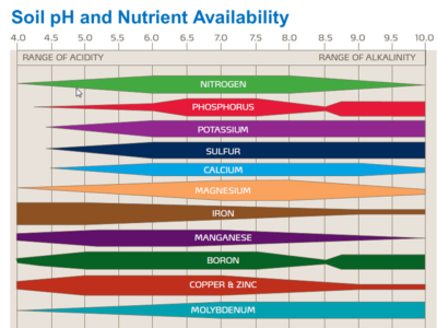 soil pH and Nutrient Availability - Lincoln Landscaping