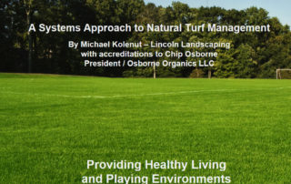 Lincoln Landscaping Playing Field Turf Management