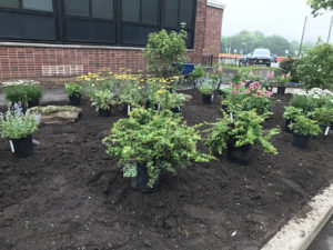 Landscaping Contractor in Glen Rock NJ - Lincoln Landscaping