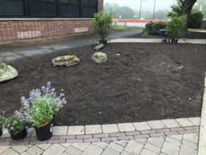 Municipal Landscape Management in Glen Rock NJ