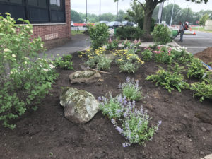 Sustainable Landscaping with Native Plants - Lincoln Landscaping