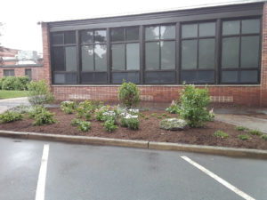 Educational Institution Landscape Management - Lincoln Landscaping