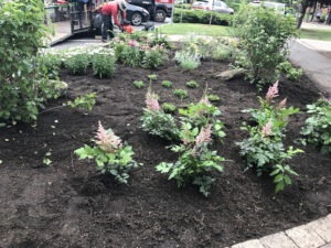 Sustainable Landscaping Contractor in Bergen County NJ - Lincoln Landscaping