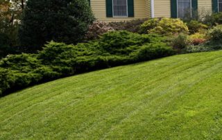 Organic Lawn Maintenance - Lincoln Landscaping Inc.