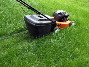 Organic Turf Management - Lincoln Landscaping Inc.