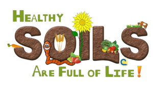 Compost creates healthy soil - Lincoln Landscaping Inc of Franklin Lakes