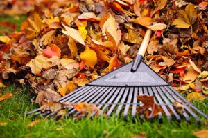Autumn Turf and Lawn Management - Lincoln Landscaping Inc