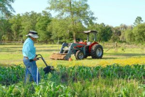 Organic Landscaping - Lincoln Landscaping Inc.