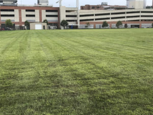 Organic Composting - Lincoln Landscaping Inc.