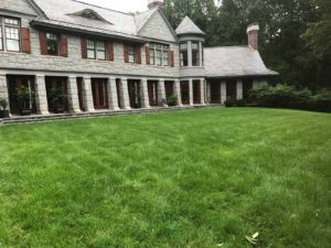 Organic Turf Maintenance - Lincoln Landscaping Inc.