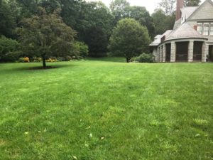 Organic Turf Maintenance - Lincoln Landscaping Inc.