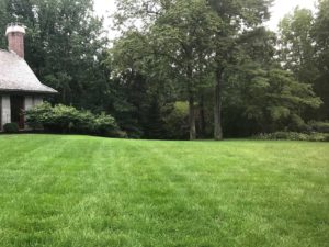 Residential Organic Turf Maintenance - Lincoln Landscaping Inc.