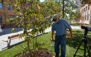 Deep Root Feeding with Compost Tea - Lincoln Landscaping Inc.