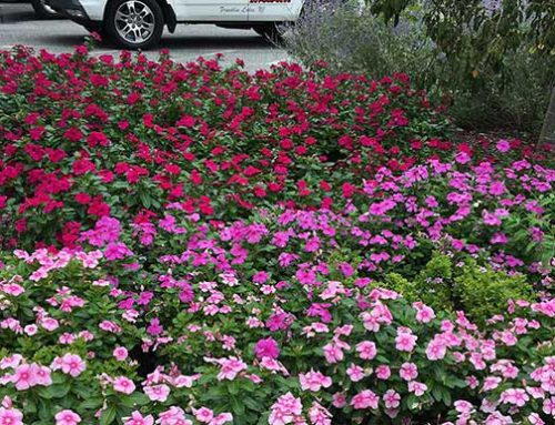 Does Your Property POP