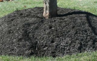 Mulch Volcanoes Kill Plants - Lincoln Landscaping Inc of Franklin Lakes