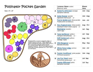 A Pollinator Pocket Garden Design