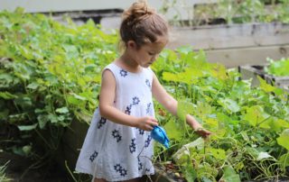 School Gardens for Children - Lincoln Landscaping Inc