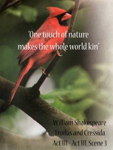 One Touch of Nature makes the whole world kin - Lincoln Landscaping Inc. of Franklin Lakes NJ