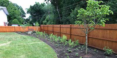 Landscaping in Hillsdale NJ with Native Plants - Lincoln Landscaping Inc