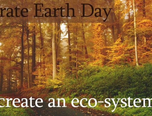 Everyday Should Be Earth Day