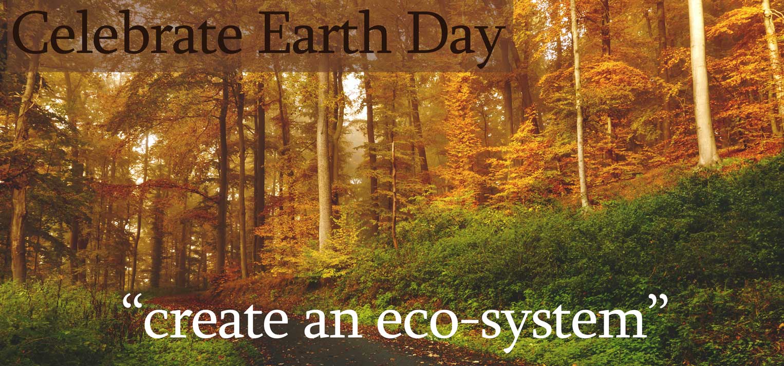 Lincoln Landscaping - Where Every Day Is Earth Day