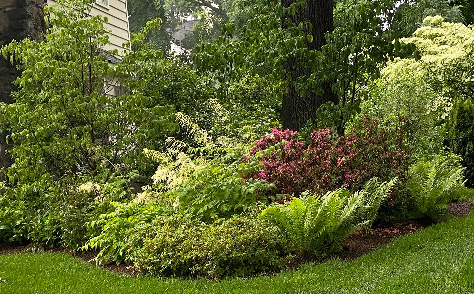 At Lincoln Landscaping cultivating the environment is our life and livelihood. It is our number one goal to help our clients create and maintain beautiful landscapes while reducing the impact on the environment. 