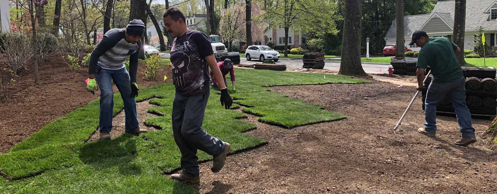 Organic Turf Sod Installation