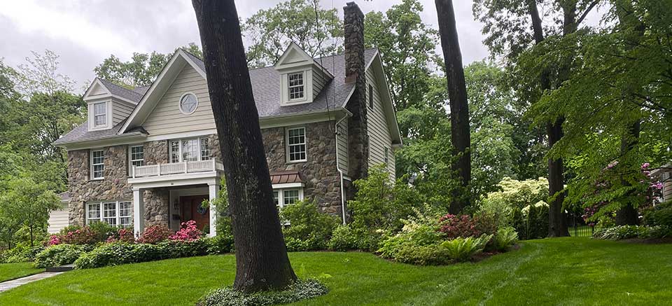 Residential Eco-system Planting After 2 years