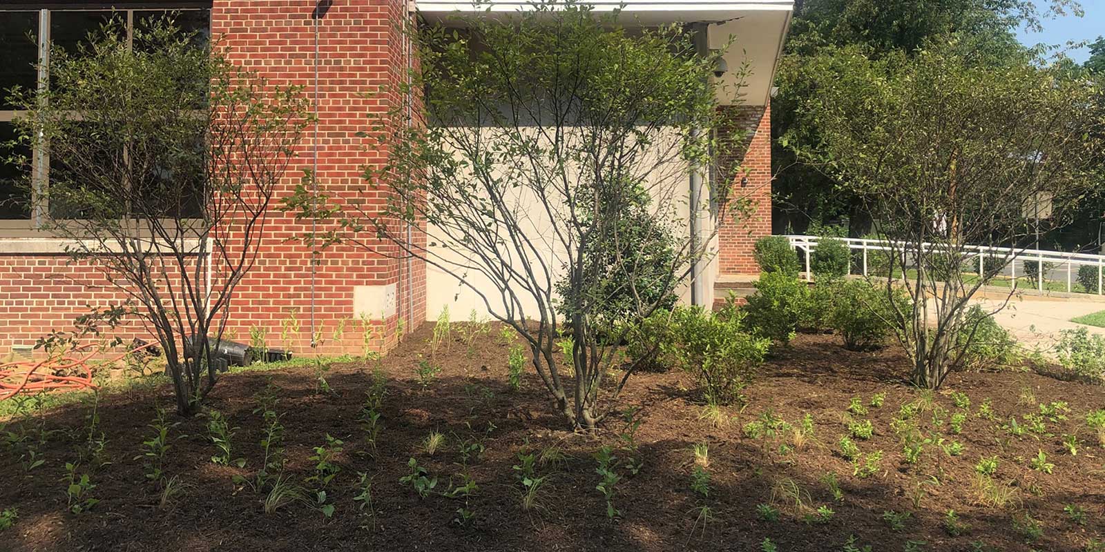 South Plainfield Middle School Landscape Design Build