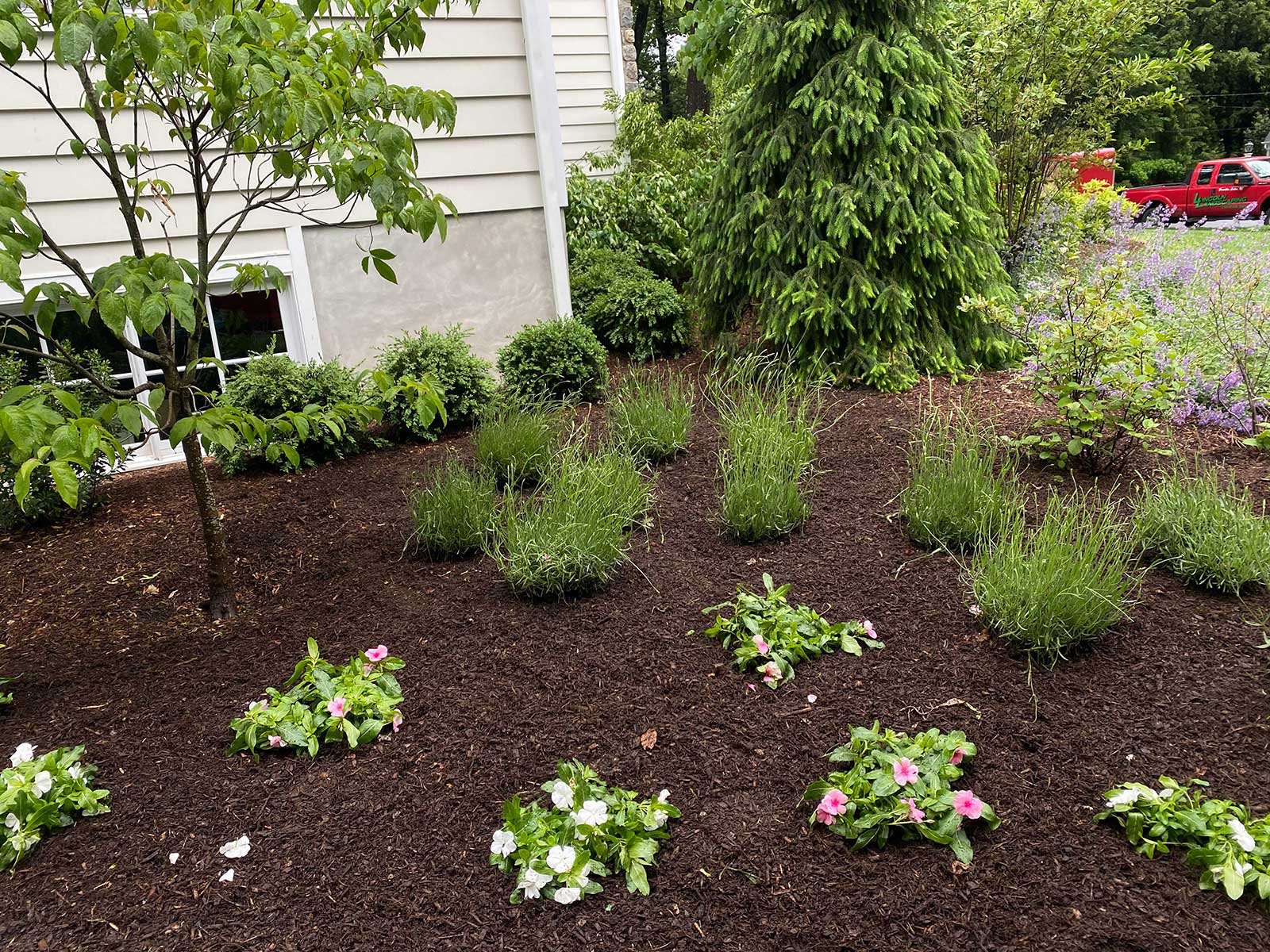 Sustainable Landscaping with Native Plants