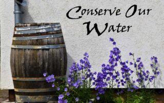 Place a rain barrel or cistern next to your home to collect rainwater from the downspouts of your gutters to use in the garden. If you live in an area with rainy winter and spring seasons, the water you collect should be enough to irrigate your plants during the drier summer and fall.