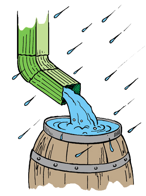 Environmentally, there are numerous benefits to using rain barrels. Water collected in a rain barrel would otherwise run or drain off the roof and become stormwater runoff, which is problematic.