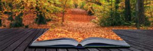 Sustainable Land Care In Bergen County N.J.