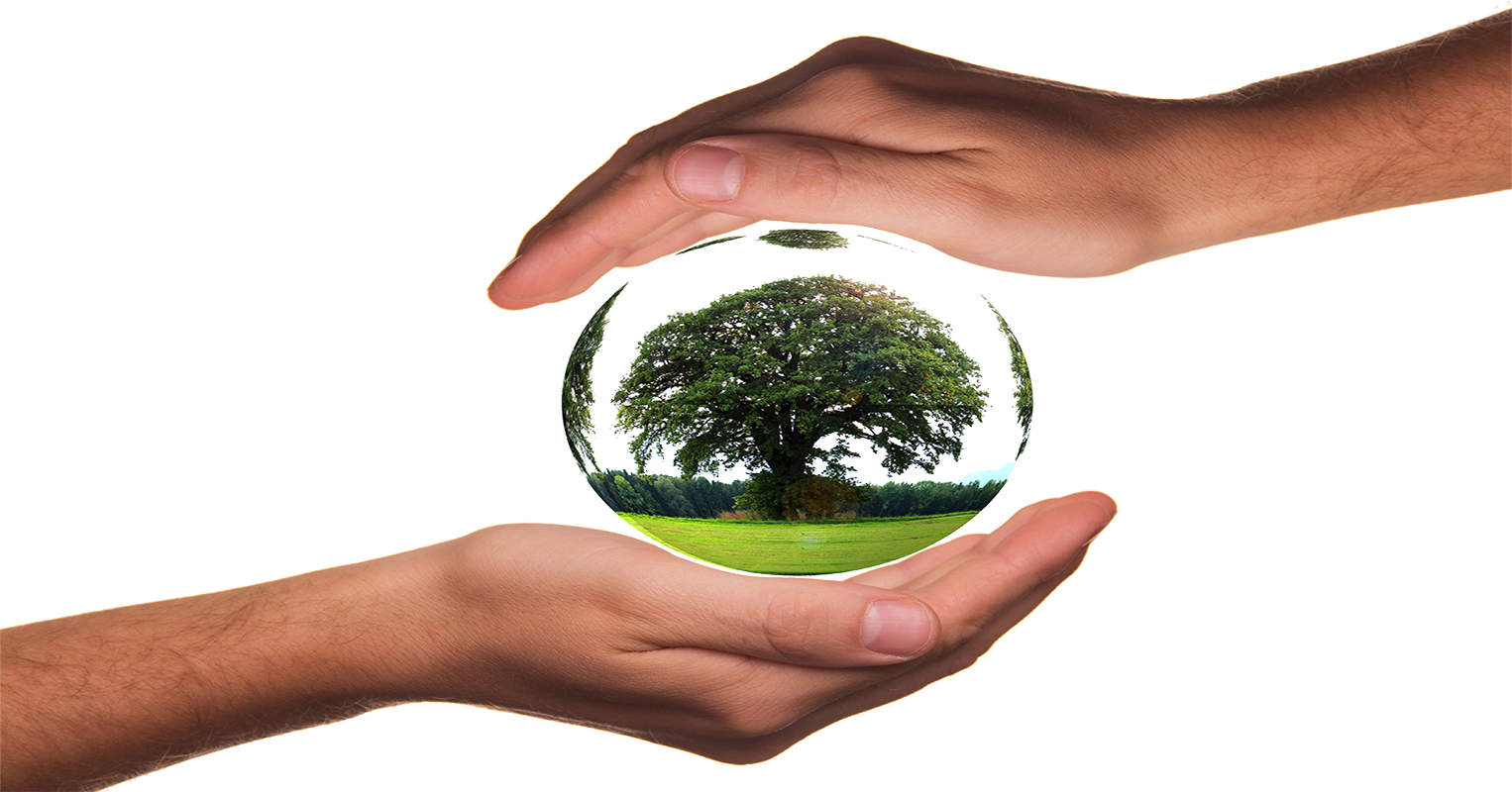 We have both earth day and arbor day holidays because they started in quite different ways for causes that were important in their time, almost a century apart. We have both earth day and arbor day holidays because they started in quite different ways for causes that were important in their time, almost a century apart.