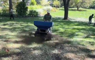 Autumn Restoration and Reseeding