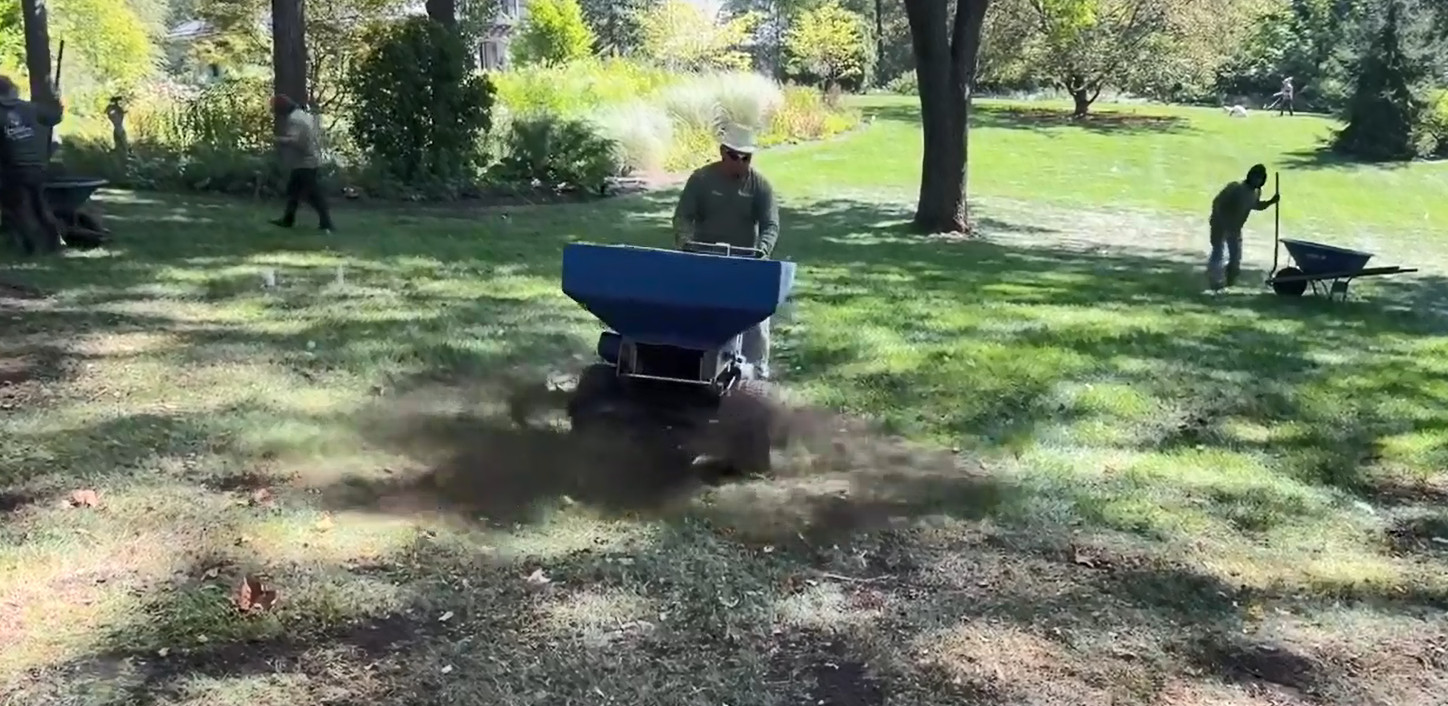 Autumn Restoration and Reseeding