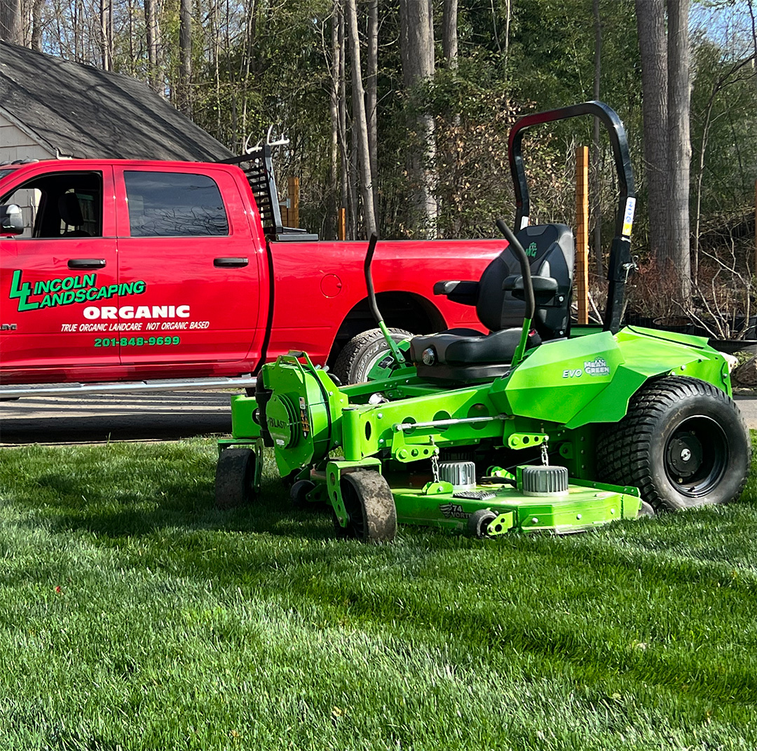 Electric Lawnmower
